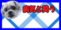 nofu_bana.gif