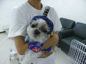 c7c2b580.gif