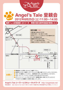 yutori-inu_20120825.jpg