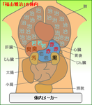 福山雅治体内メーカー