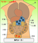 モウリーニョ体内メーカー