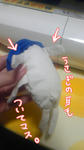 987e0edf.jpg