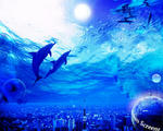 img1045_s72.jpg