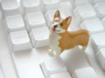 76348f35.jpg