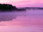 img521_s45.jpg