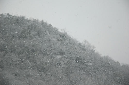 cd569226.jpg