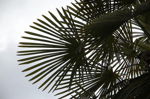 DSC_0035.jpg