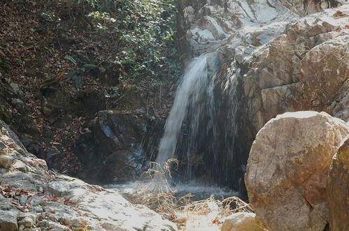 DSC_0118.jpg