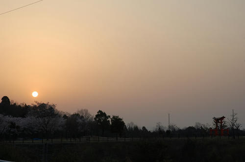 DSC_0807.jpg
