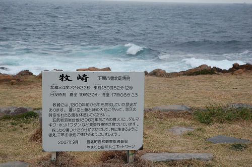 DSC_0862.jpg