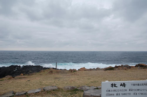 DSC_0875.jpg