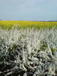 DSC00006.JPG