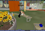 0925b08.JPG