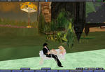 1001d02.JPG