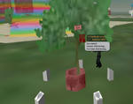 Snapshot0927_035.JPG