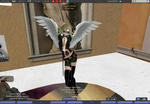 1210_003.JPG