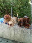 p1050055.jpg