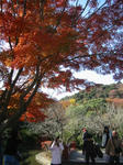 鶴岡八幡宮