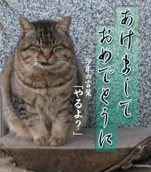 いまだなまえなし。