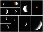 95d15cf3.jpg