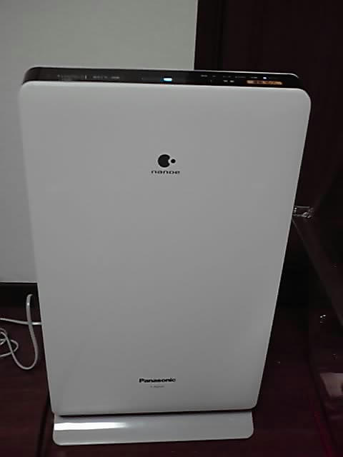 P1000051.JPG