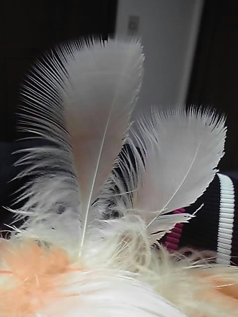 P1000125.JPG