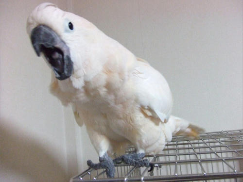 kotaro2.jpg