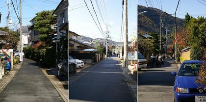 DSC03862aL.jpg