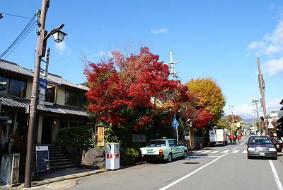 DSC03875x.JPG