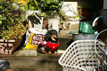 DSC03880L.JPG