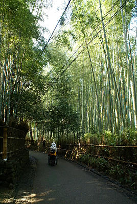 DSC03882x.JPG