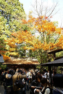 DSC03892x.JPG
