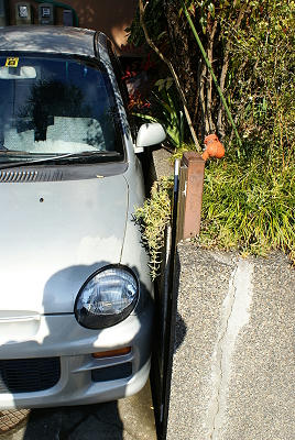 DSC03871x.JPG