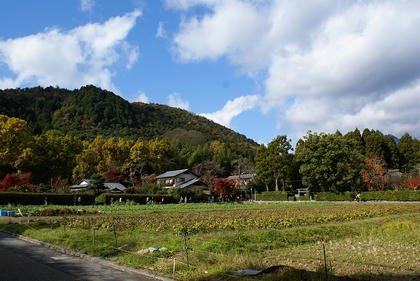 DSC03910L.JPG