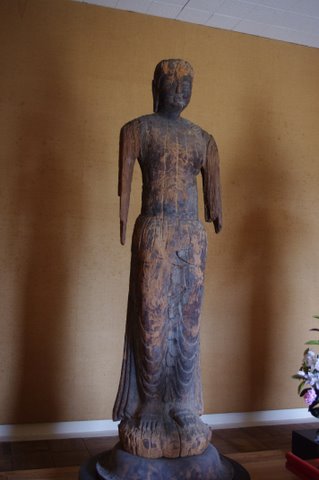 IMGP2386.JPG
