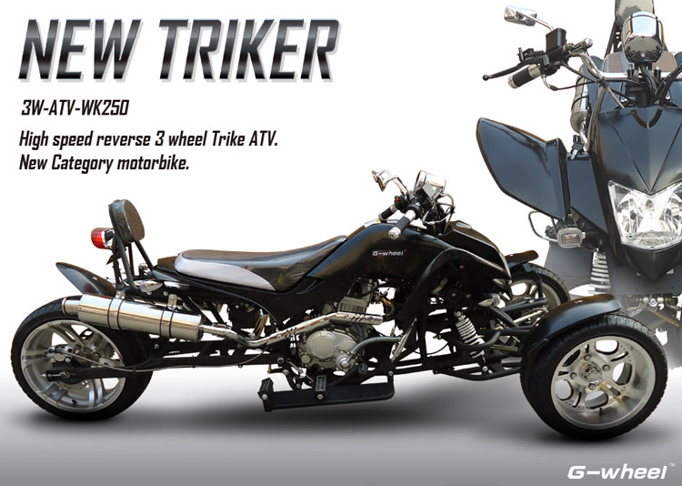 ジャンク G-wheel 逆トライク 250cc ジャンク G-wheel 逆トライク 250cc