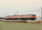 IMG_6395.JPG