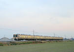 IMG_6424.JPG