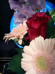 091223.jpg