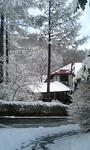 PA0_0005.jpg