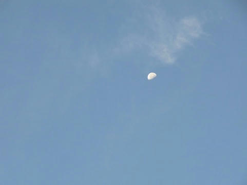 RIMG0010.JPG
