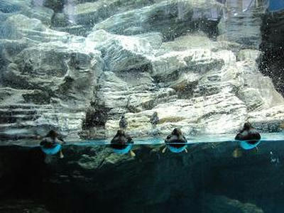 etopirica03.JPG