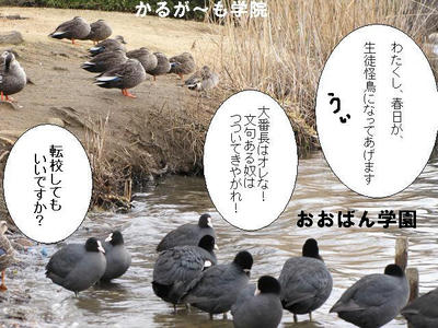 ooban02.JPG