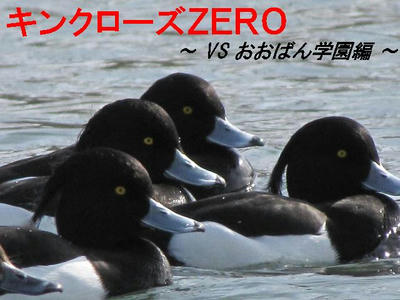 kinkurohajiro01.JPG