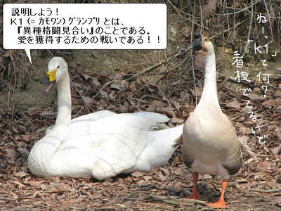 gachou01.JPG