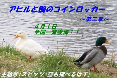 ahiru04.JPG