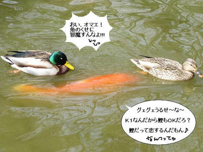 magamo04.JPG