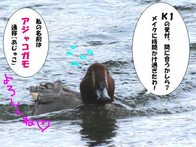 kogamo03.jpg