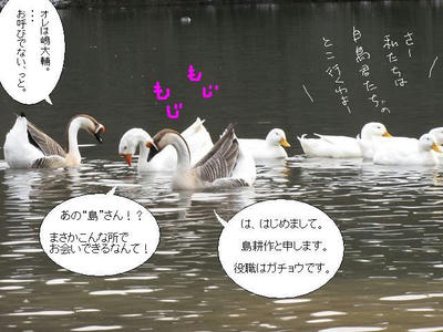 gachou03.JPG