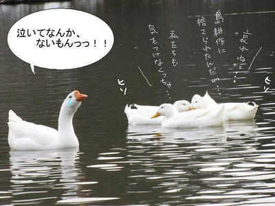 gachou05.JPG